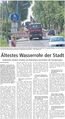 Westfälischer Anzeiger, 3. Juni 2017