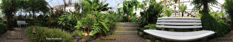 Datei:Schmetterlingshaus Panorama1.jpg