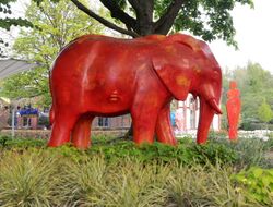Elefant 2009 29.jpg
