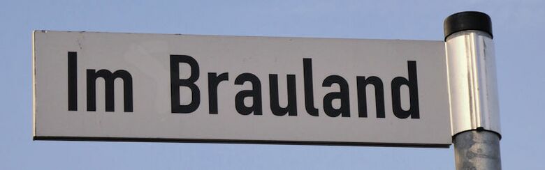 Straßenschild Im Brauland